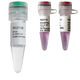 kit di reagenti enzima / colorante / per Rt-qPCR