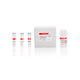 kit di test da ricerca / per PCR real-time