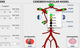 software di analisi / di visualizzazione / didattico / di valutazione