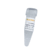 reagente in soluzione / enzima / colorante / per qPCR