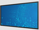 monitor medico / 3840 × 2160 / 55