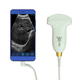 sonda ecografica convessa / addominale / ostetrica/ginecologica / urologica