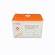 kit di test per malattie gastrointestinali / Helicobacter pylori / clinico / da laboratorio