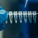 reagente transcrittasi inversa / a biglie magnetiche / per Rt-qPCR / liofilizzato