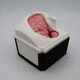 simulatore didattico / per assistenza generale / per chirurgia / neurochirurgico