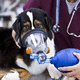 maschera veterinaria a ossigeno / per ventilazione artificiale / per gatti / per topi