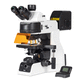 microscopio a epifluorescenza / ottico / per citologia / clinico