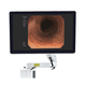 monitor per endoscopia / Full HD / 4K / 42