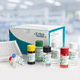 kit di test per diagnosi COVID-19 / d'IgG / di siero / ELISA