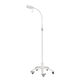 lampada per piccola chirurgia medicina generale / a LED / a soffitto / da parete