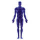 piattaforma AI per cardiologia / per ospedali / per ricerca medica / per diagnostica per immagini
