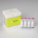 kit di test oncologico / di oncologia / per tessuti / per RT-PCR