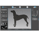 software di acquisizione / di ottimizzazione delle immagini / per radiologia veterinaria / odontoveterinario