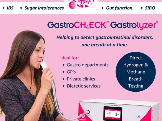 Nuovo e GastroCH4 migliore ECK Gastrolyzer