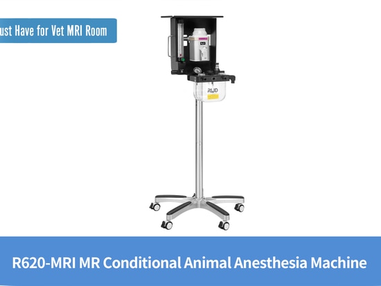 Macchina per anestesia animale condizionata R620-MRI MR