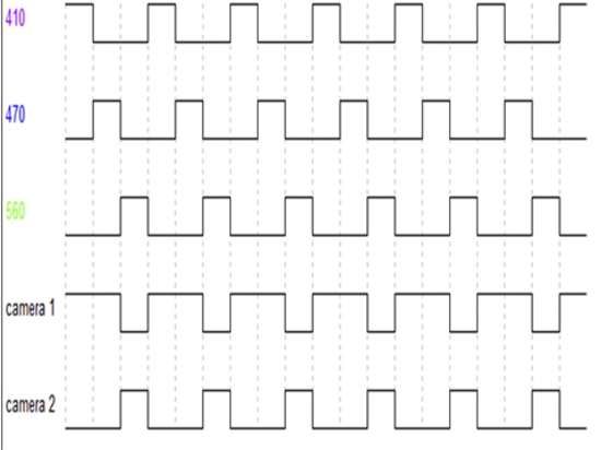 Guida all'apprendimento della fotometria in fibra per principianti