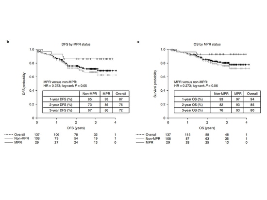 Breve sintesi dei progressi della ricerca sull'immunoterapia neoadiuvante nel NSCLC