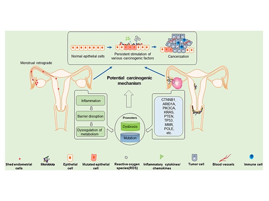 Ricerca sulla genotipizzazione di SpaceGen nel carcinoma endometrioide ovarico