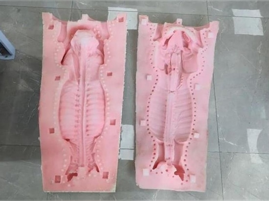 modello di anatomia in silicone