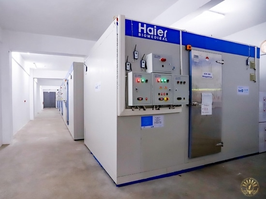 Promuovere la salute globale: Haier Biomedical rivoluziona la conservazione e il trasporto dei vaccini