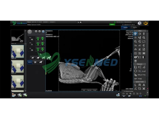 Il tecnico di radiologia YSENMED riceve buone recensioni dal veterinario tailandese