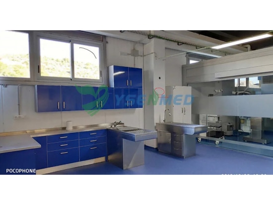 Attrezzature veterinarie YSENMED installate in una nuova clinica veterinaria in Spagna