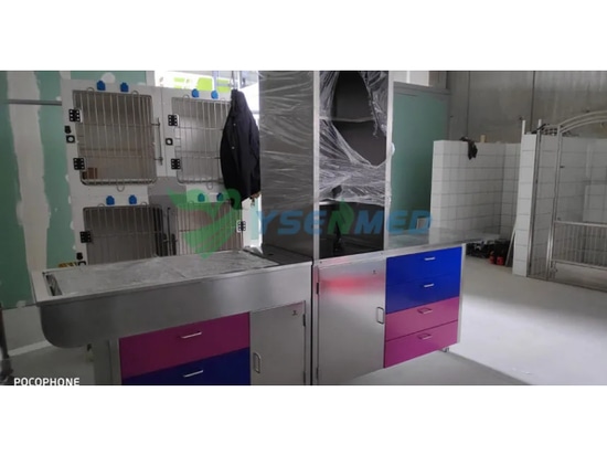 Attrezzature veterinarie YSENMED installate in una nuova clinica veterinaria in Spagna