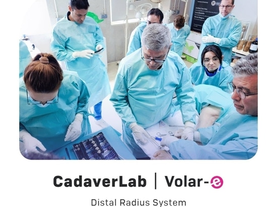 Imparare, crescere, avere successo!