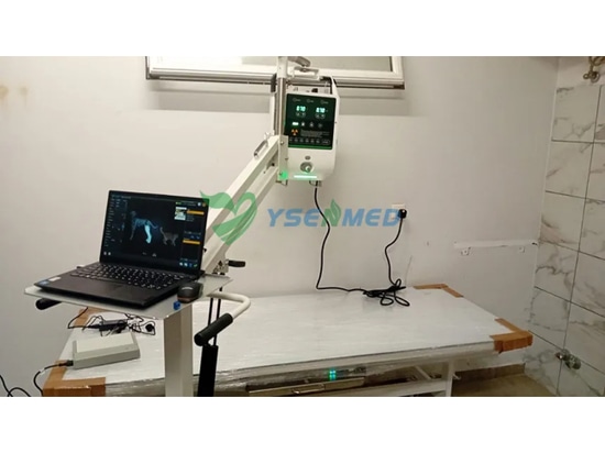 Il veterinario cipriota è soddisfatto e felice del sistema radiografico digitale YSENMED YSX053-A VET