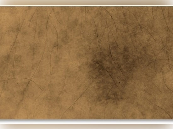 Rendering della pigmentazione