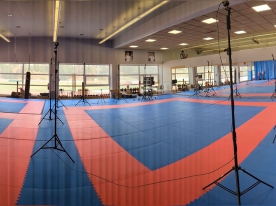 Biomeccanica avanzata a supporto delle prestazioni del karate d'élite