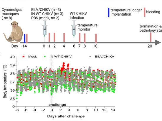 Fig. 4 dall'articolo
