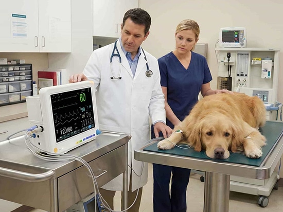 Quali sono i fattori da considerare quando si acquista un monitor veterinario portatile?