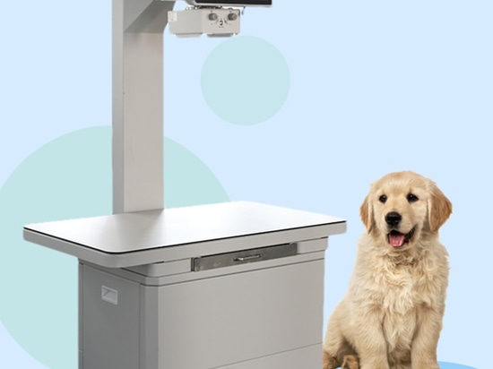 Macchina a raggi X per veterinari, un grande aiuto per una diagnosi accurata degli animali domestici!