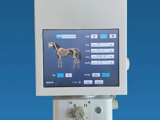 Pioniere dell'imaging medico agile