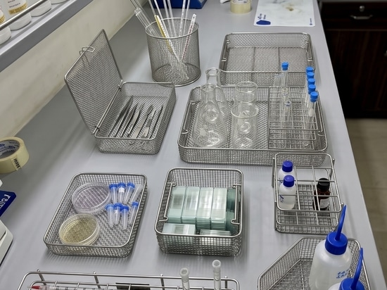 Cestelli in acciaio inossidabile di alta qualità per una facile sterilizzazione, pulizia e utilizzo in laboratorio