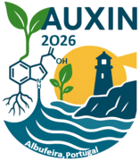 The Auxin 2026