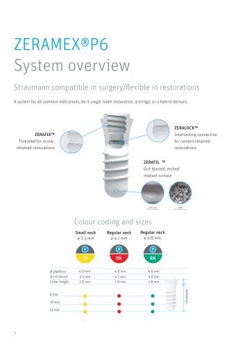 ZERAMEX®P6 Systemoverview