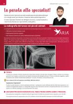 Radiologia Aria - 6