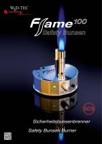 Flame 100