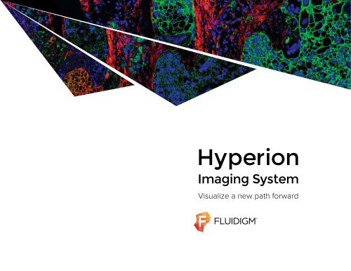 Hyperion Imaging System