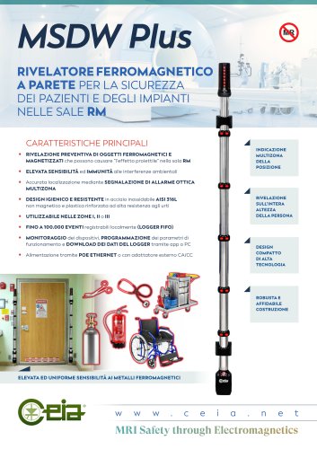 MSDW Plus Brochure IT