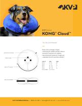 KONG® Cloud™