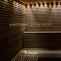 wellness dimension