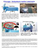 requisiti minime per un impianto di ventilazione per clinica veterinaria o ambulatorio veterinario - 2