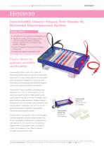 Horizontal Electrophoresis System