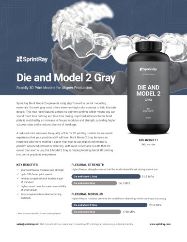 Die and Model 2 Gray