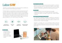 LABORSIM - 2