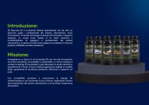 Stampante 3D ecoGEMINI-3
