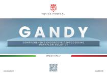 GANDY ENDOSCOPE TREATMENT PRODUCTS ENG